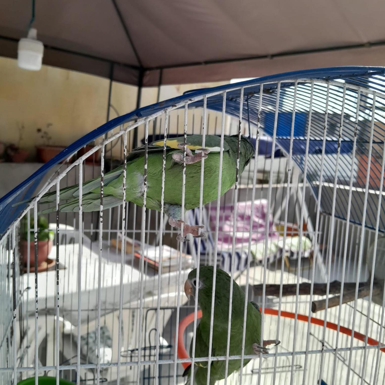 Akao House Otel Arequipa Dış mekan fotoğraf